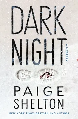 Temná noc: Záhada černé knihy: Záhada černé knihy: Záhada černé knihy - Dark Night: A Mystery
