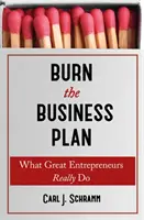 Spálit podnikatelský plán - Co skutečně dělají velcí podnikatelé - Burn The Business Plan - What Great Entrepreneurs Really Do