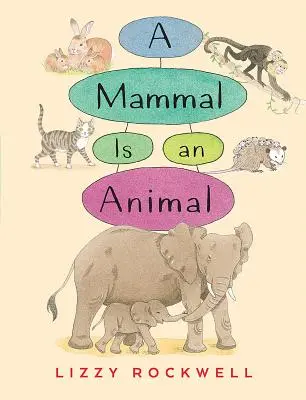 Savec je zvíře - A Mammal Is an Animal