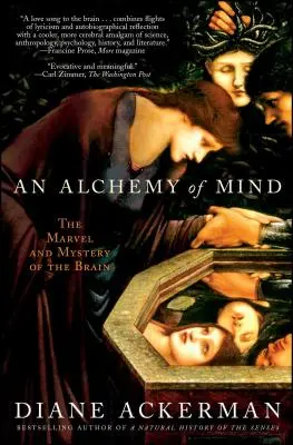 Alchymie mysli: Alchymie mozku: zázrak a tajemství mozku - An Alchemy of Mind: The Marvel and Mystery of the Brain