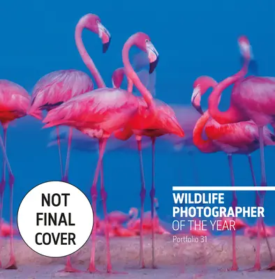 Fotograf roku divoké přírody: Portfolio 31, 31 - Wildlife Photographer of the Year: Portfolio 31, 31