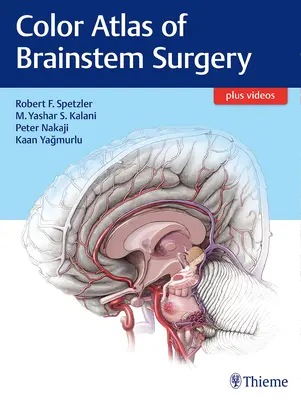 Barevný atlas chirurgie mozkového kmene - Color Atlas of Brainstem Surgery