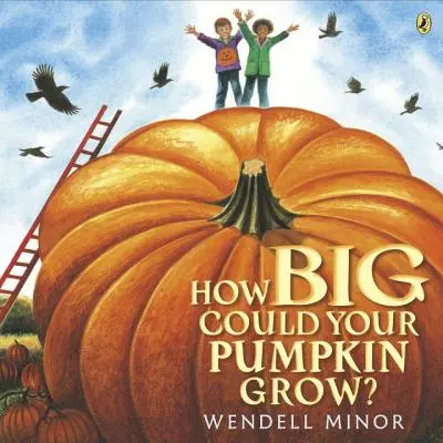 Jak velká by mohla vyrůst vaše dýně? - How Big Could Your Pumpkin Grow?