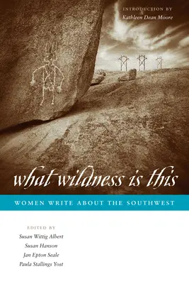Co je to za divokost: Ženy píší o jihozápadě - What Wildness Is This: Women Write about the Southwest