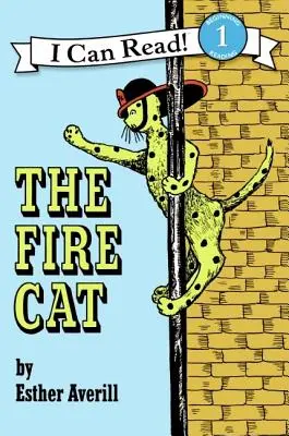 Ohnivá kočka - The Fire Cat