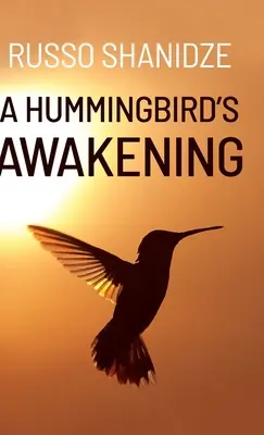 Probuzení kolibříka - A Hummingbird's Awakening