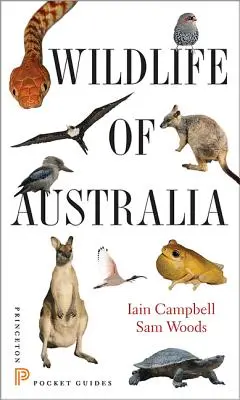 Divoká příroda Austrálie - Wildlife of Australia