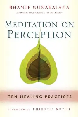 Meditace o vnímání: Deset léčebných praktik k pěstování bdělé pozornosti: Deset léčebných praktik k pěstování bdělé pozornosti. - Meditation on Perception: Ten Healing Practices to Cultivate Mindfulness