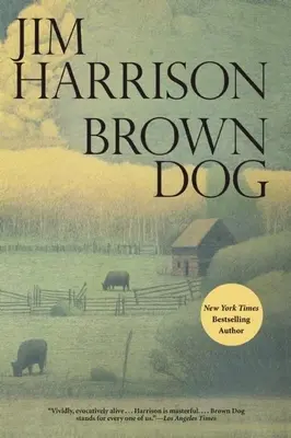 Hnědý pes - Brown Dog