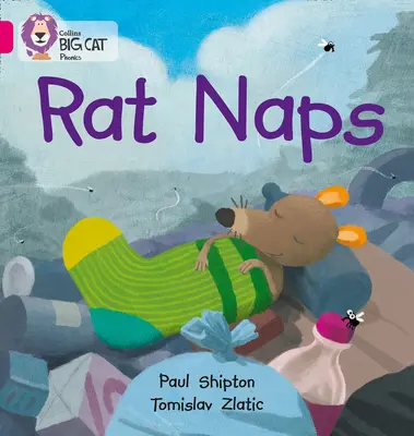Krysí šlofíček - Rat Naps