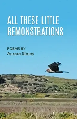 Všechny tyhle drobné výtky - All These Little Remonstrations