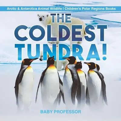 Nejchladnější tundra! Arktida a Antarktida Živočichové v přírodě Dětské knihy o polárních oblastech - The Coldest Tundra! Arctic & Antarctica Animal Wildlife Children's Polar Regions Books