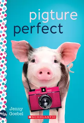 Pigture Perfect: Román na přání - Pigture Perfect: A Wish Novel