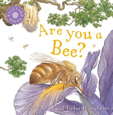 Jsi včela? - Are You a Bee?