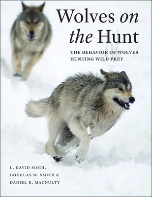 Vlci na lovu: Chování vlků při lovu divoké kořisti - Wolves on the Hunt: The Behavior of Wolves Hunting Wild Prey