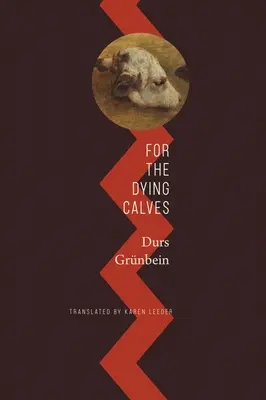 Za umírající telata: Za hranice literatury: Oxfordské přednášky - For the Dying Calves: Beyond Literature: Oxford Lectures