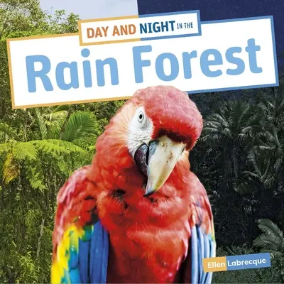 Den a noc v deštném pralese - Day and Night in the Rain Forest