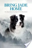 Přiveďte Jade domů: Pravdivý příběh psa ztraceného v Yellowstonu - Bring Jade Home: The True Story of a Dog Lost in Yellowstone
