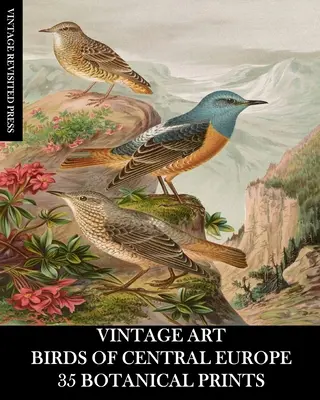 Vintage Art: Ptáci střední Evropy: 35 botanických tisků - Vintage Art: Birds of Central Europe: 35 Botanical Prints