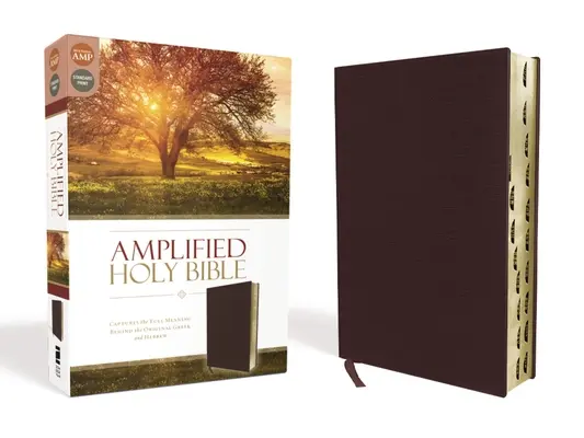 Amplified-Am: Rozšířený text: zachycuje plný význam řeckého a hebrejského originálu - Amplified-Am: Captures the Full Meaning Behind the Original Greek and Hebrew