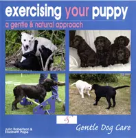 Cvičení štěněte - Exercising Your Puppy