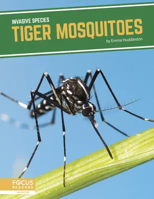 Tygří komáři - Tiger Mosquitoes