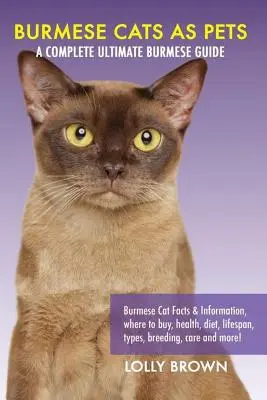 Barmské kočky jako domácí mazlíčci: Barmské kočky fakta a informace, kde koupit, zdraví, strava, délka života, typy, chov, péče a další! Kompletní ulti - Burmese Cats as Pets: Burmese Cat Facts & Information, where to buy, health, diet, lifespan, types, breeding, care and more! A Complete Ulti
