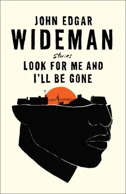 Hledej mě a já budu pryč: povídky - Look for Me and I'll Be Gone: Stories