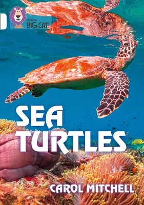 Mořské želvy: Kapela 10/White - Sea Turtles: Band 10/White