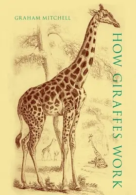 Jak fungují žirafy - How Giraffes Work
