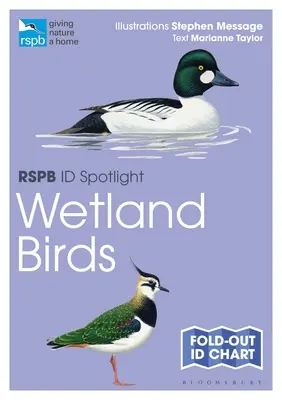 Rspb Id Spotlight - mokřadní ptáci - Rspb Id Spotlight - Wetland Birds