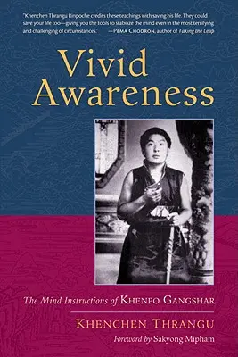 Živé povědomí: Khenpo Gangshar: Poučení mysli - Vivid Awareness: The Mind Instructions of Khenpo Gangshar