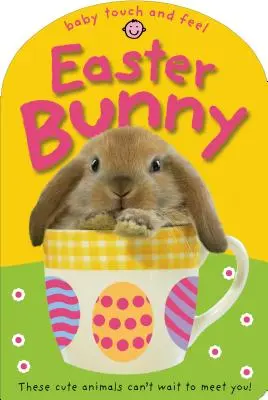 Dětský velikonoční zajíček na dotek: Tato roztomilá zvířátka se s tebou nemohou nepotkat! - Baby Touch and Feel Easter Bunny: These Cute Animals Can't Want to Meet You!
