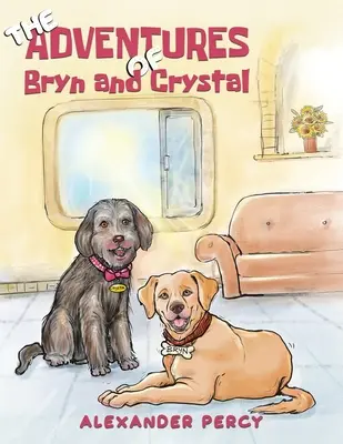 Dobrodružství Bryn a Crystal - The Adventures of Bryn and Crystal