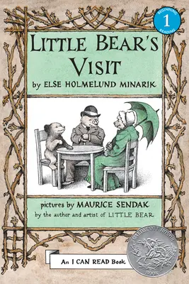 Návštěva malého medvěda - Little Bear's Visit