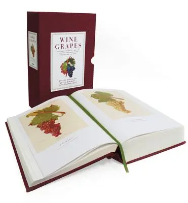 Hrozny vína: Vinařství: Kompletní průvodce 1 368 odrůdami révy včetně jejich původu a chuti - Wine Grapes: A Complete Guide to 1,368 Vine Varieties, Including Their Origins and Flavours