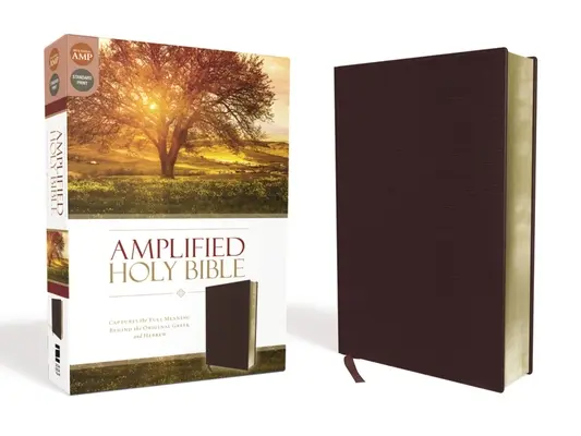 Amplified Bible-Am: Bible: Am Am: zachycuje plný význam řeckého a hebrejského originálu - Amplified Bible-Am: Captures the Full Meaning Behind the Original Greek and Hebrew