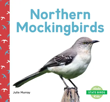Drozdy severní - Northern Mockingbirds
