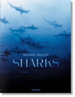 Michael Müller: Jaké jsou možnosti, jak se dostat do stavu ohrožení? Sharks - Michael Muller. Sharks