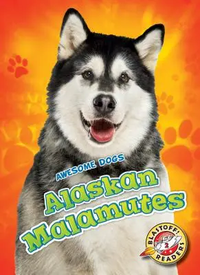 Aljašští malamuti Aljašští malamuti - Alaskan Malamutes Alaskan Malamutes