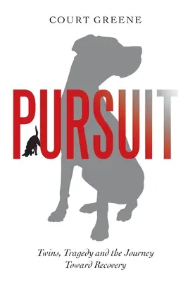 Pronásledování: Dvojčata, tragédie a cesta k uzdravení - Pursuit: Twins, Tragedy and the Journey Toward Recovery