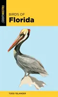 Ptáci Floridy - Birds of Florida