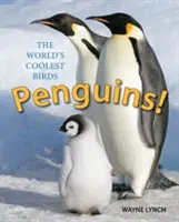 Tučňáci! Nejúžasnější ptáci na světě - Penguins!: The World's Coolest Birds