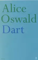 Šipky - Dart