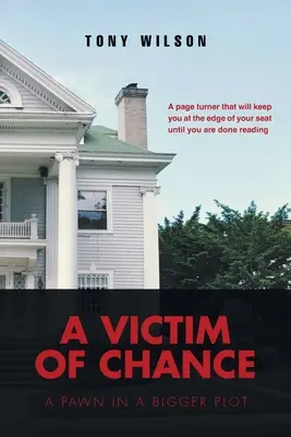 Oběť náhody: Pěšák ve větším spiknutí - A Victim Of Chance: A Pawn in a Bigger Plot