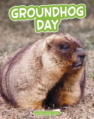 Den svišťů - Groundhog Day