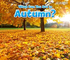 Co můžete vidět na podzim? - What Can You See In Autumn?