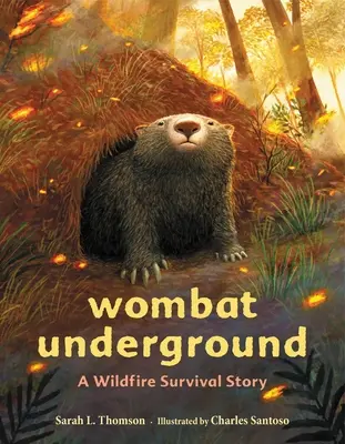 Vombat v podzemí: Příběh o přežití při požáru v divočině - Wombat Underground: A Wildfire Survival Story