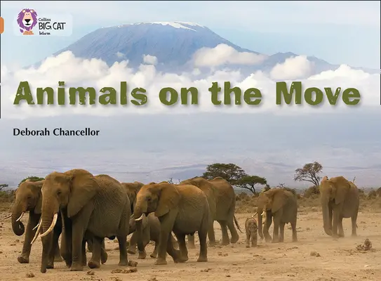 Zvířata v pohybu - Animals on the Move