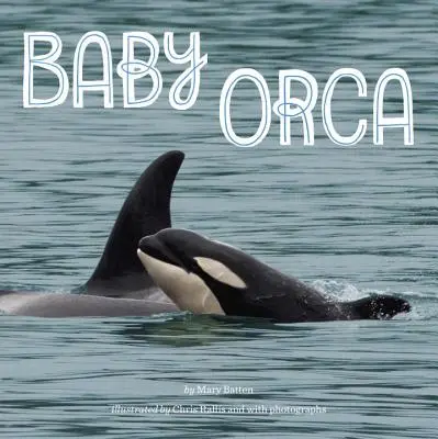 Malá kosatka - Baby Orca